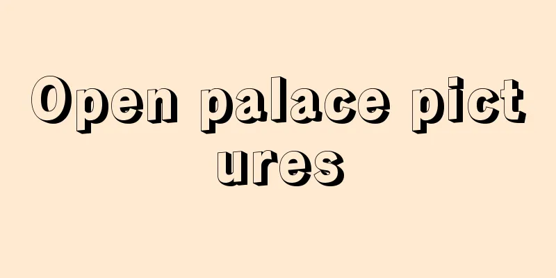 Open palace pictures