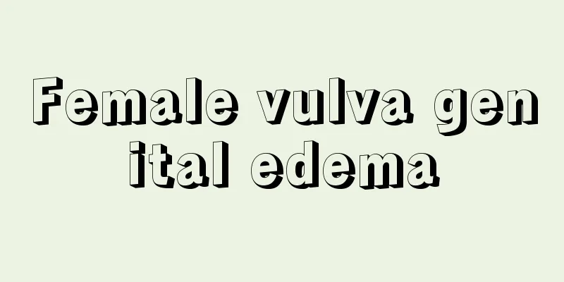 Female vulva genital edema