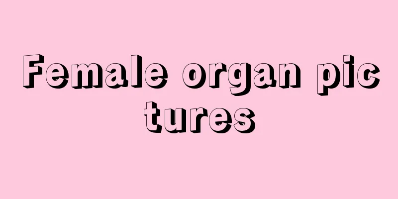 Female organ pictures