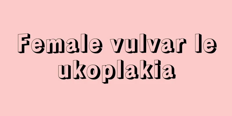 Female vulvar leukoplakia