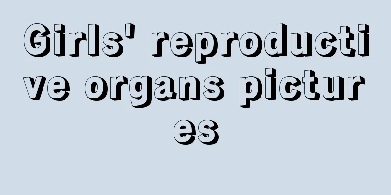 Girls' reproductive organs pictures