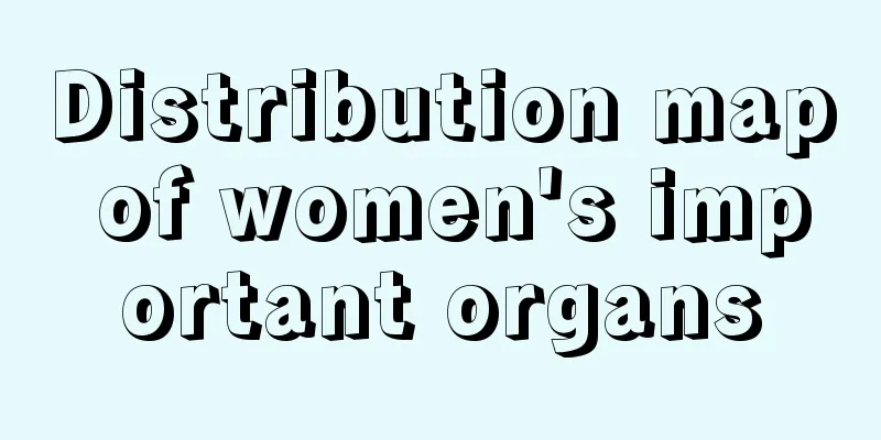 Distribution map of women's important organs