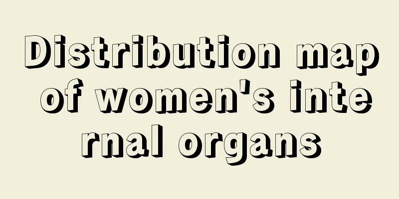 Distribution map of women's internal organs