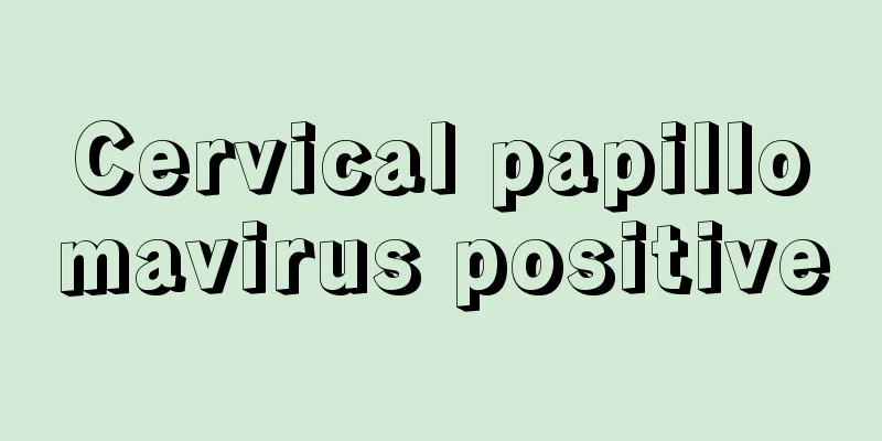 Cervical papillomavirus positive