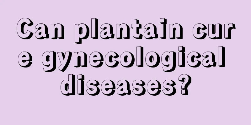 Can plantain cure gynecological diseases?