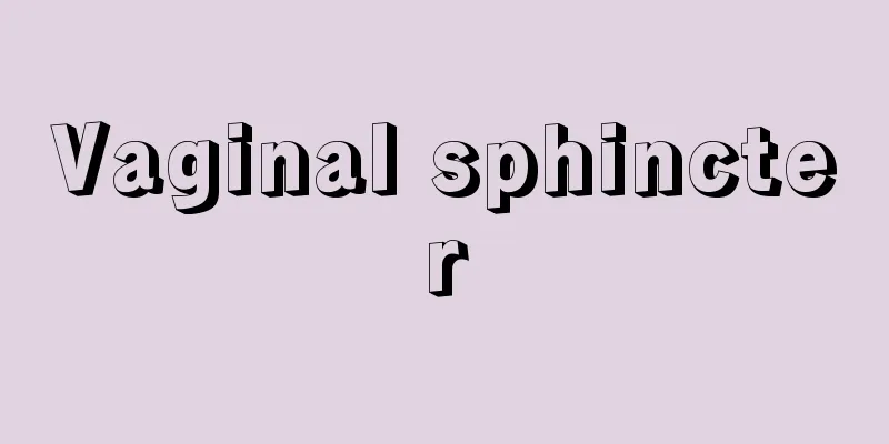 Vaginal sphincter