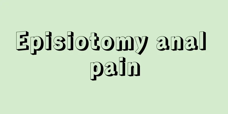 Episiotomy anal pain