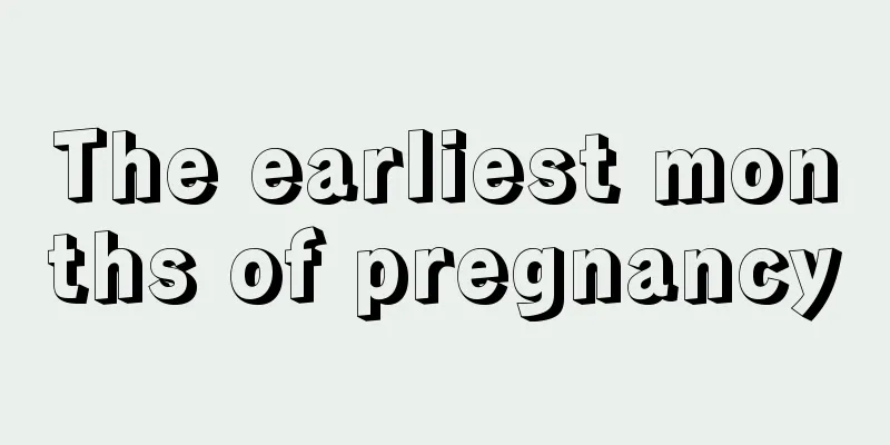 The earliest months of pregnancy