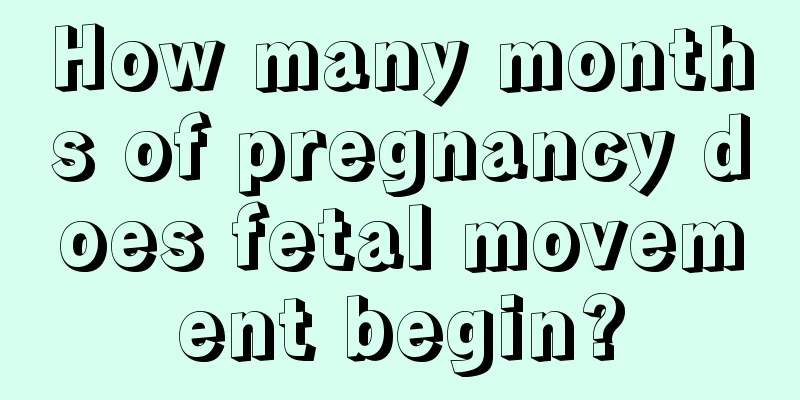 How many months of pregnancy does fetal movement begin?