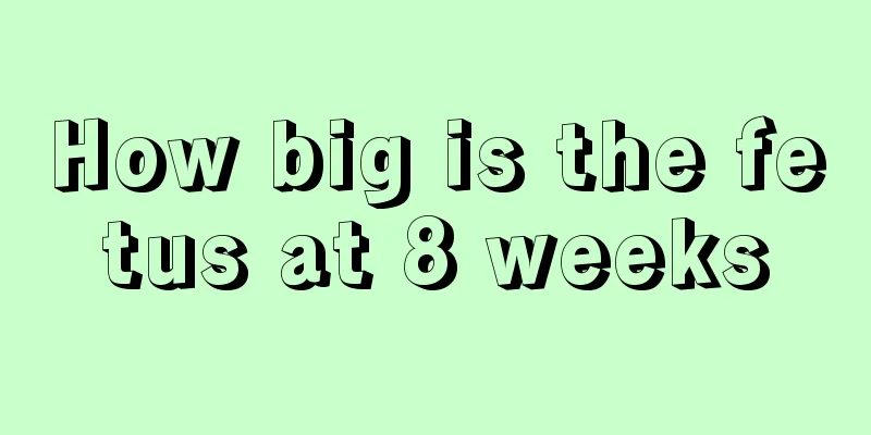 How big is the fetus at 8 weeks