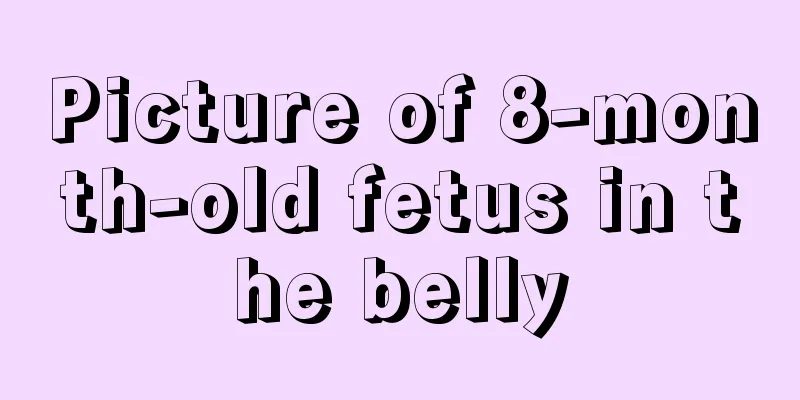 Picture of 8-month-old fetus in the belly