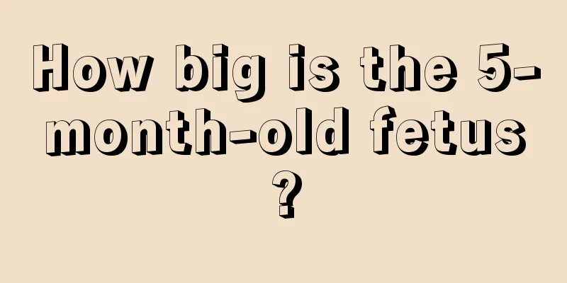 How big is the 5-month-old fetus?