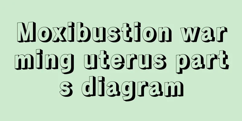 Moxibustion warming uterus parts diagram