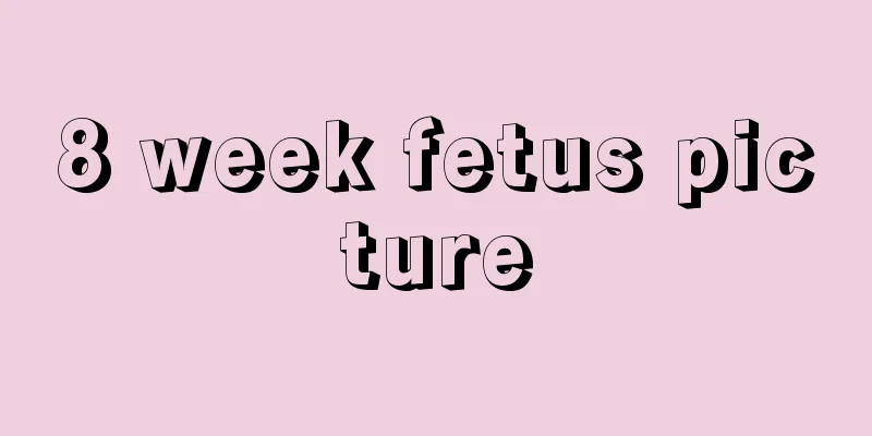 8 week fetus picture