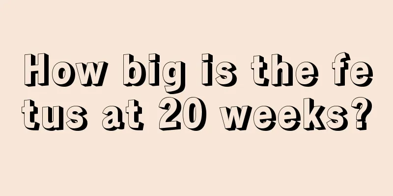 How big is the fetus at 20 weeks?