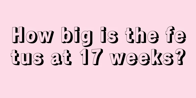 How big is the fetus at 17 weeks?