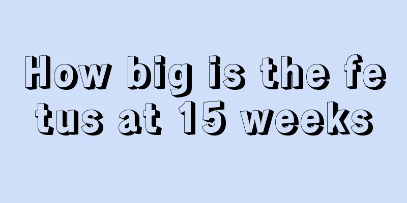 How big is the fetus at 15 weeks