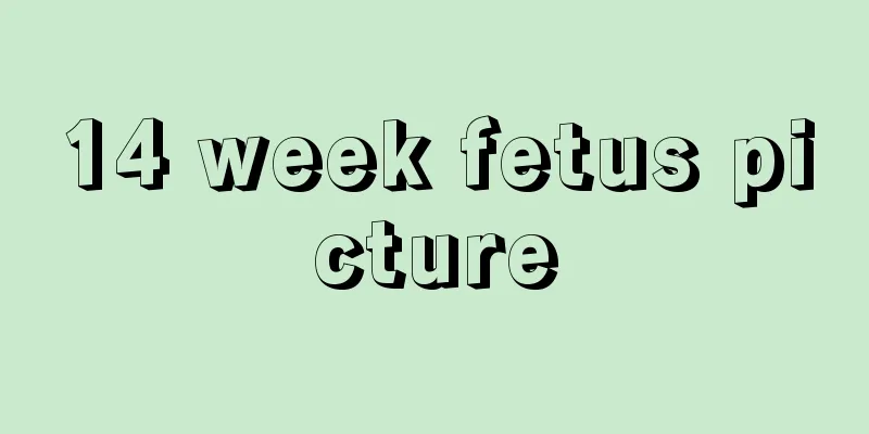 14 week fetus picture