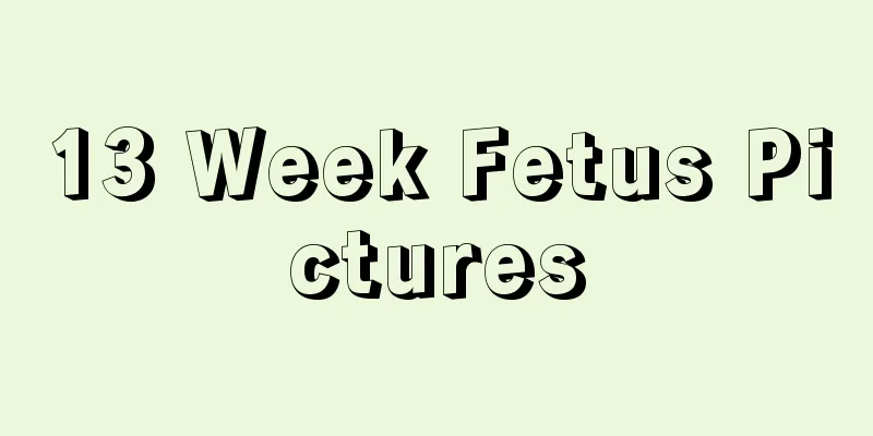 13 Week Fetus Pictures