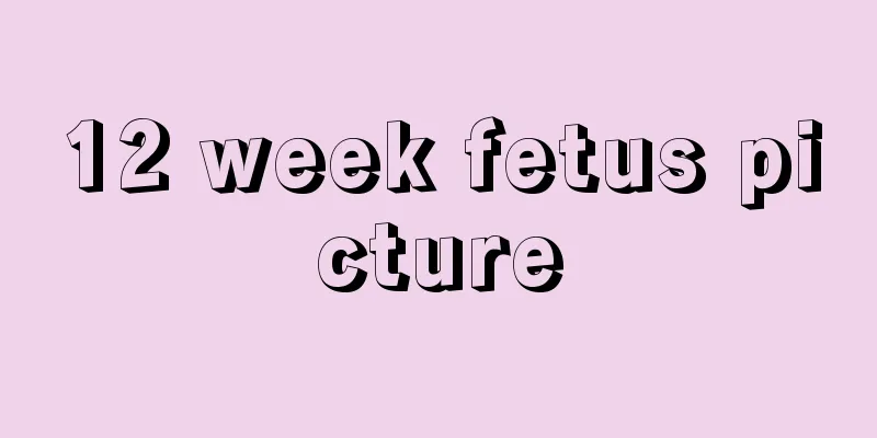 12 week fetus picture