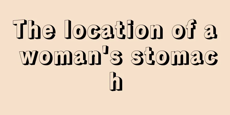 The location of a woman's stomach