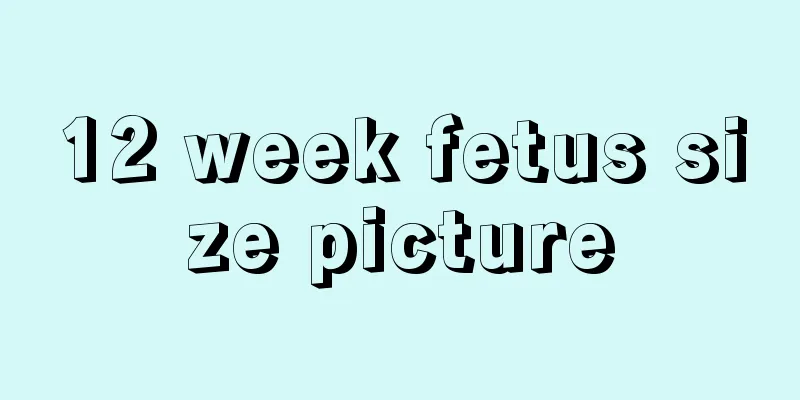 12 week fetus size picture