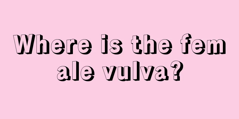 Where is the female vulva?