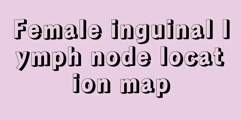 Female inguinal lymph node location map