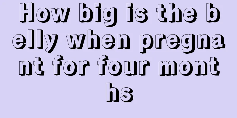 How big is the belly when pregnant for four months