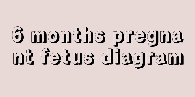 6 months pregnant fetus diagram