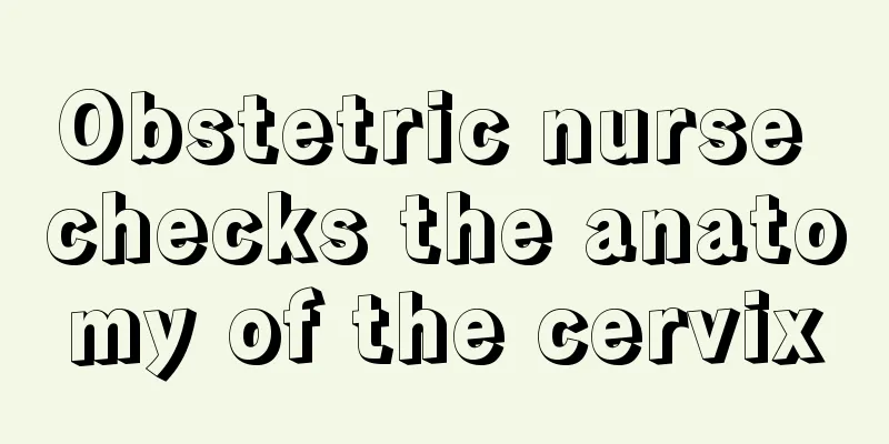 Obstetric nurse checks the anatomy of the cervix