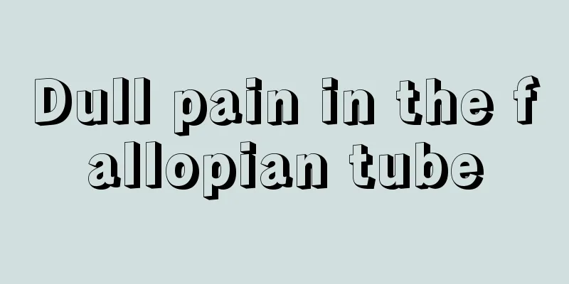 Dull pain in the fallopian tube