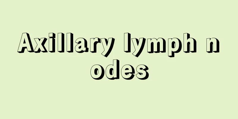 Axillary lymph nodes