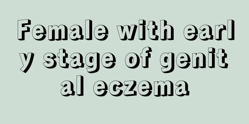 Female with early stage of genital eczema