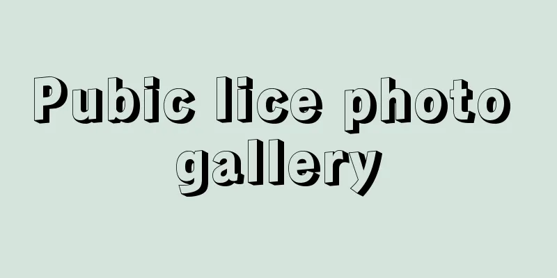 Pubic lice photo gallery