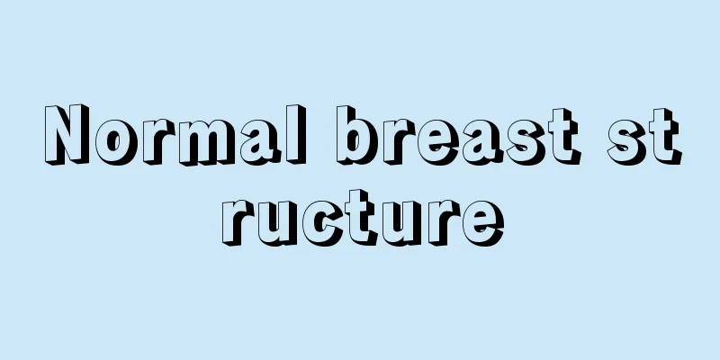 Normal breast structure