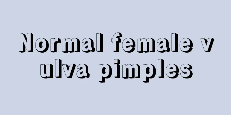 Normal female vulva pimples