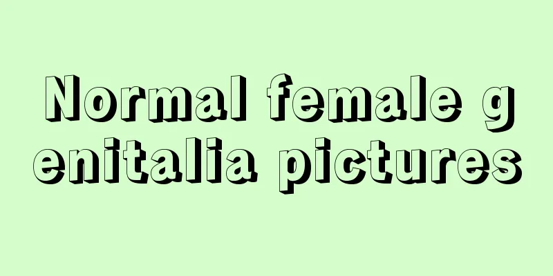 Normal female genitalia pictures