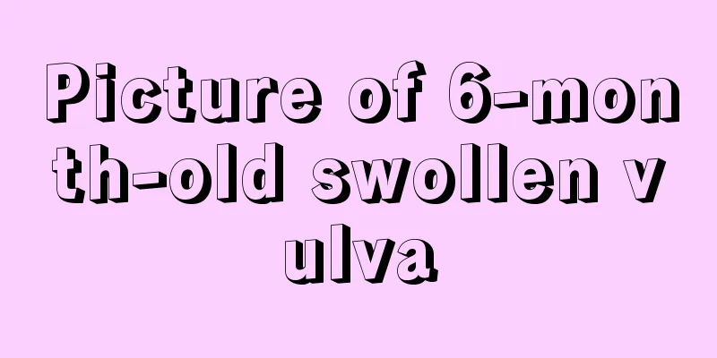 Picture of 6-month-old swollen vulva