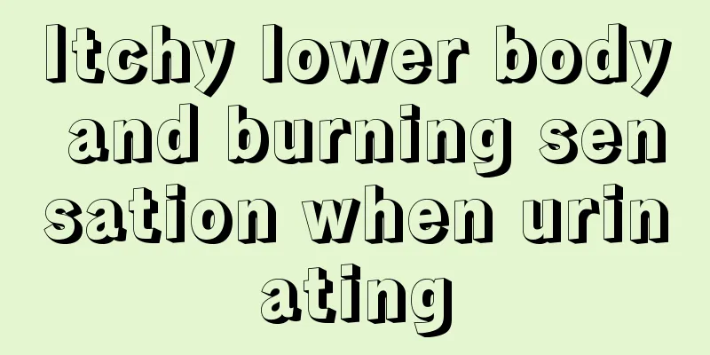 Itchy lower body and burning sensation when urinating