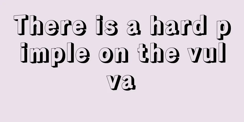 There is a hard pimple on the vulva