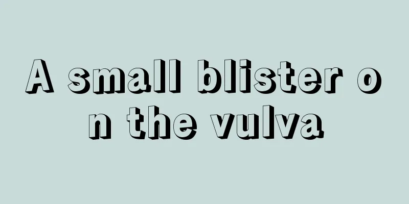 A small blister on the vulva