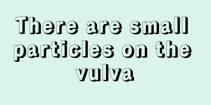 There are small particles on the vulva