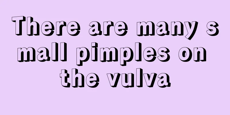 There are many small pimples on the vulva