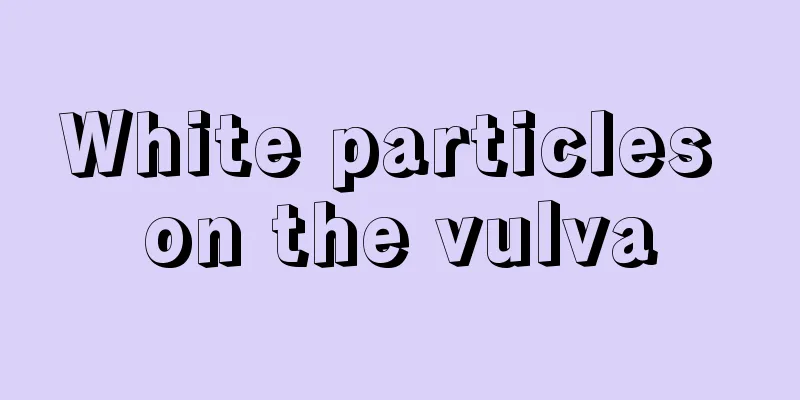 White particles on the vulva