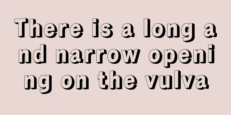 There is a long and narrow opening on the vulva