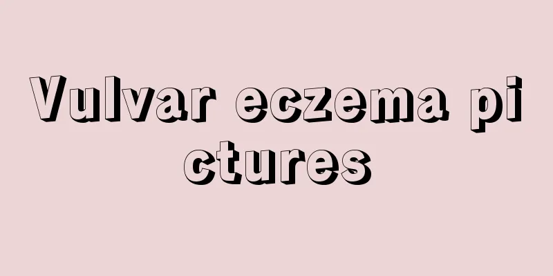 Vulvar eczema pictures