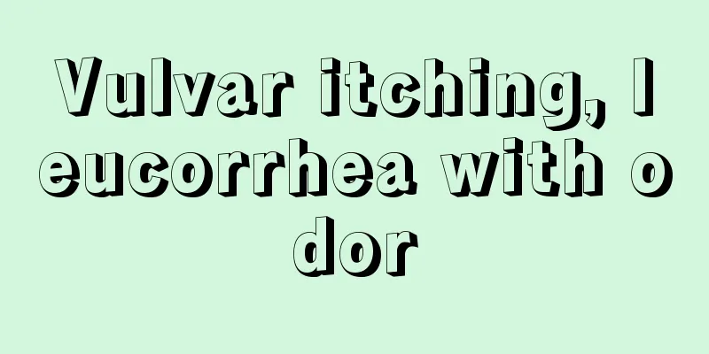 Vulvar itching, leucorrhea with odor