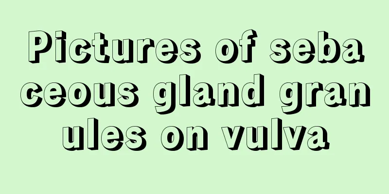 Pictures of sebaceous gland granules on vulva