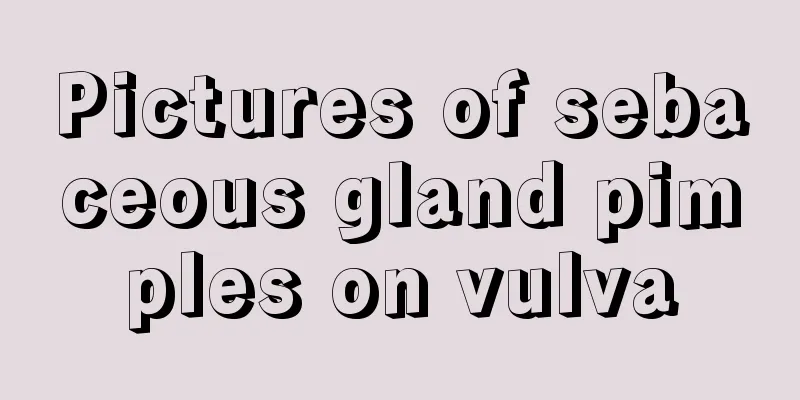 Pictures of sebaceous gland pimples on vulva